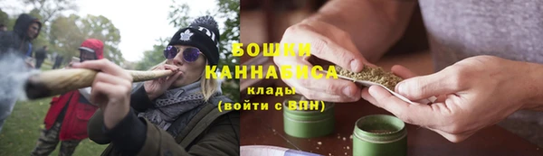 эйфоретик Тайга