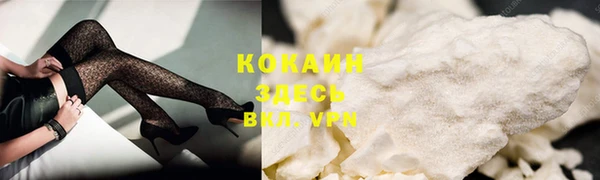 бошки Сясьстрой