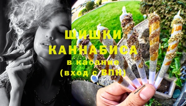 бошки Сясьстрой