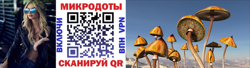 Галлюциногенные грибы GOLDEN TEACHER  Алдан 
